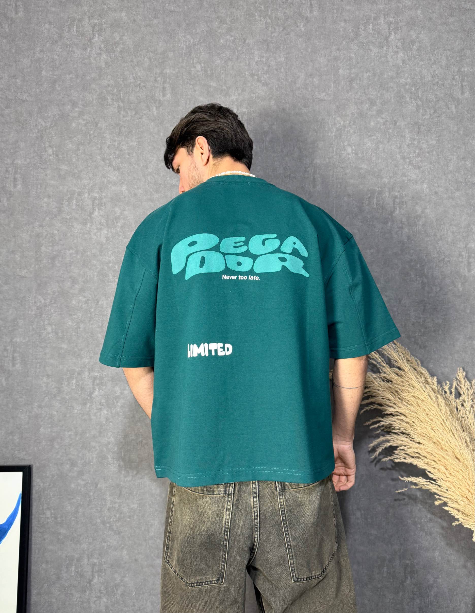 boxy-t-shirt-تیشرت باکسی picture